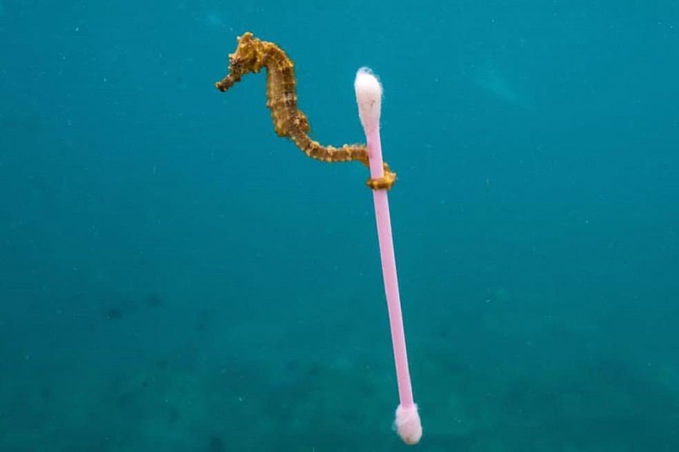 COLOMBIA sin plásticos: 2021 sin pitillos, copitos y mezcladores