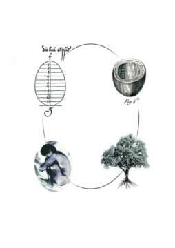 Puedes resucitar en un ÁRBOL cuando mueras.. si quieres..