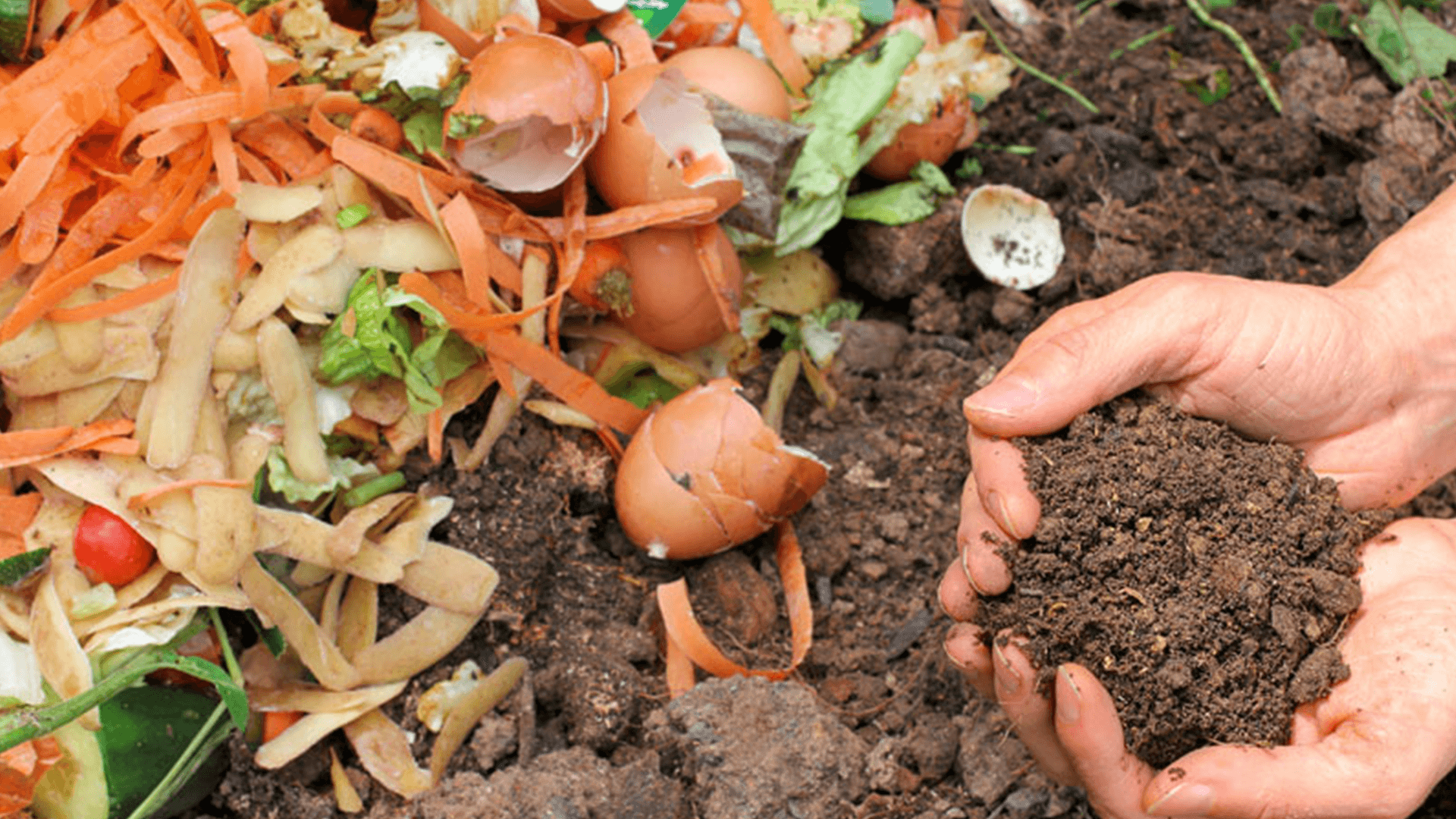 El compostaje doméstico ya es obligatorio en Francia