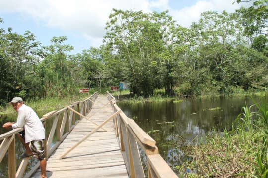 25 minutos diarios de caminata pueden alargar hasta 7 años de Vida