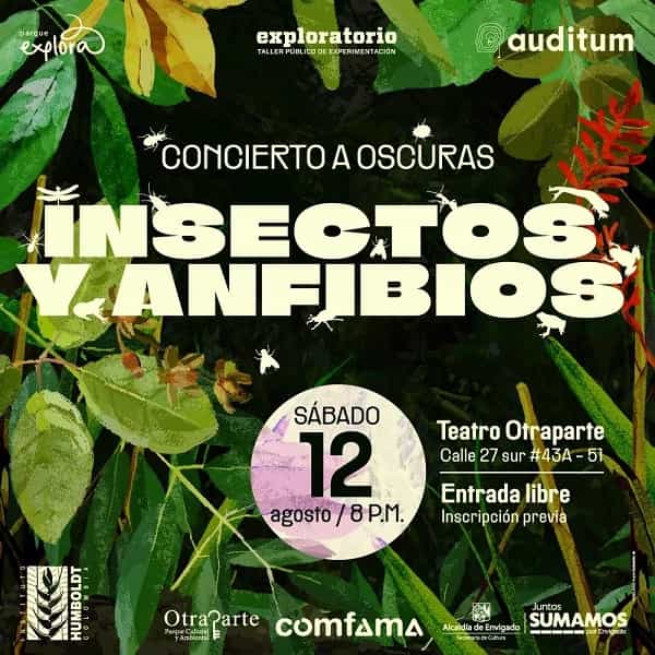Concierto a oscuras Insectos y Anfibios mañana en Teatro Otraparte