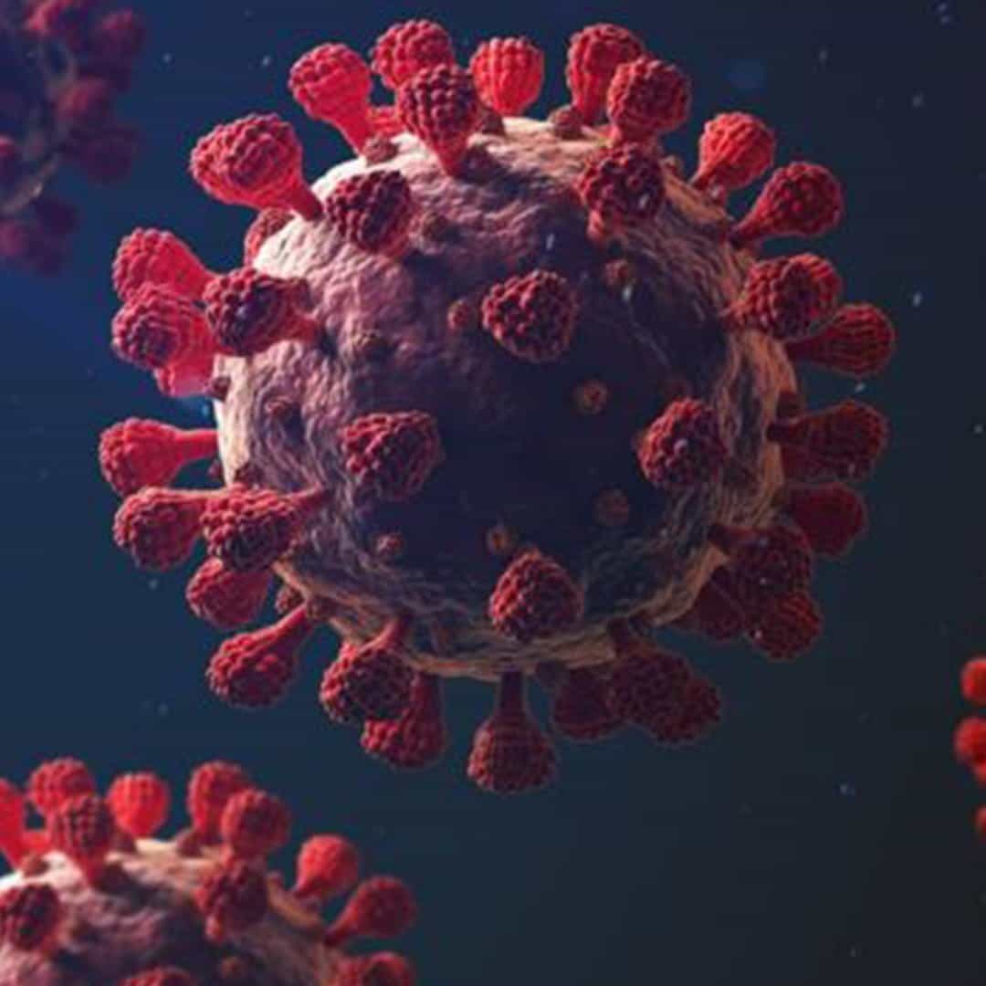 La luz solar neutraliza el COVID-19 ocho veces más rápido de lo esperado