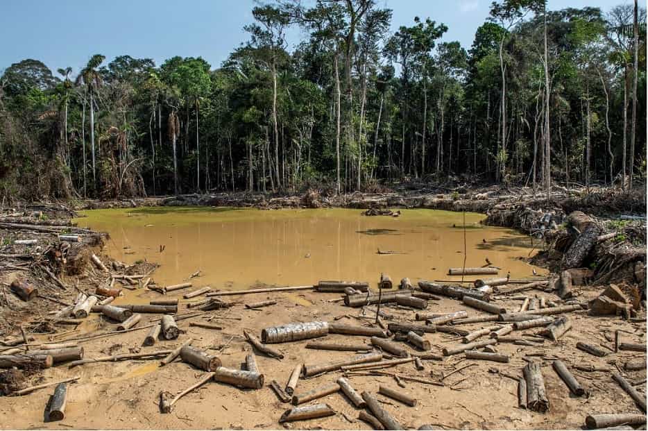En un año Colombia deforestó un área tan grande como Bogotá