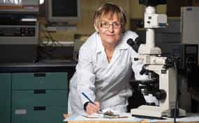 Wow! Científicos hacen que florezca semilla que estuvo congelada por 30.000 años