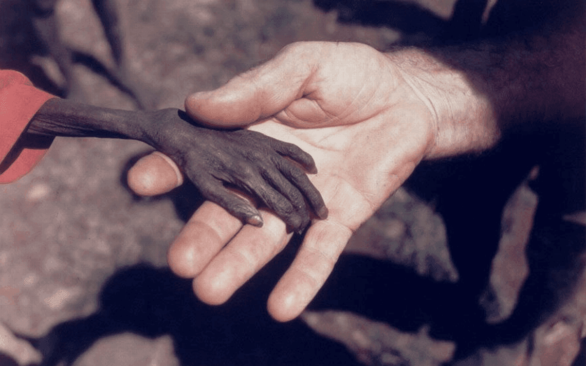 “Estamos en un sistema que no cuida la vida, cuida el capital” Entrevista a JUAN VILLA