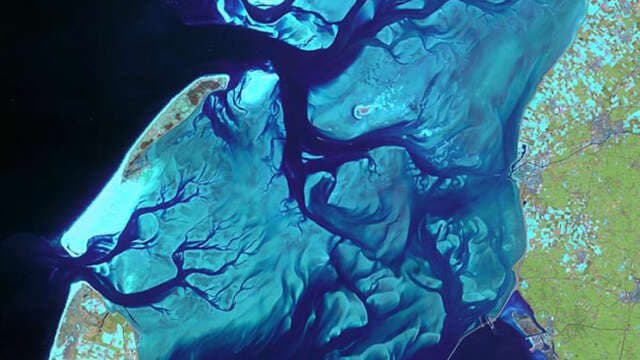 Feliz dia de la Tierra. Comparte éstos ECOTIPS a diario