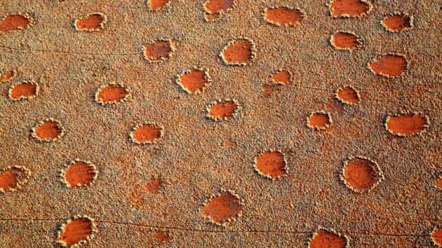 Anillos de Hadas en Namibia el secreto más grande de la Naturaleza ?
