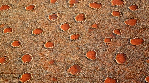 Anillos de Hadas en Namibia el secreto más grande de la Naturaleza ?