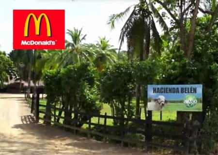 Las fincas de Mc Donald’s en Colombia