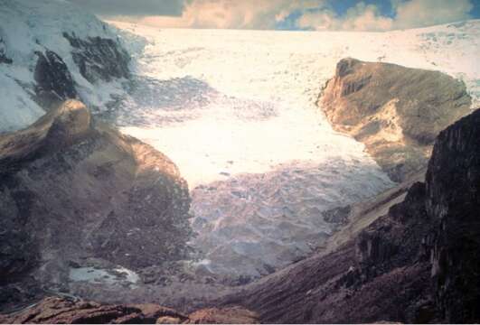 1600 años de hielo glaciar derretido en 25 en los Andes, Urgente!