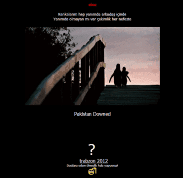 Los hackers turcos atacan Pakistán y sus dominios .pk incluyendo Microsoft, Apple, Google, Msn.