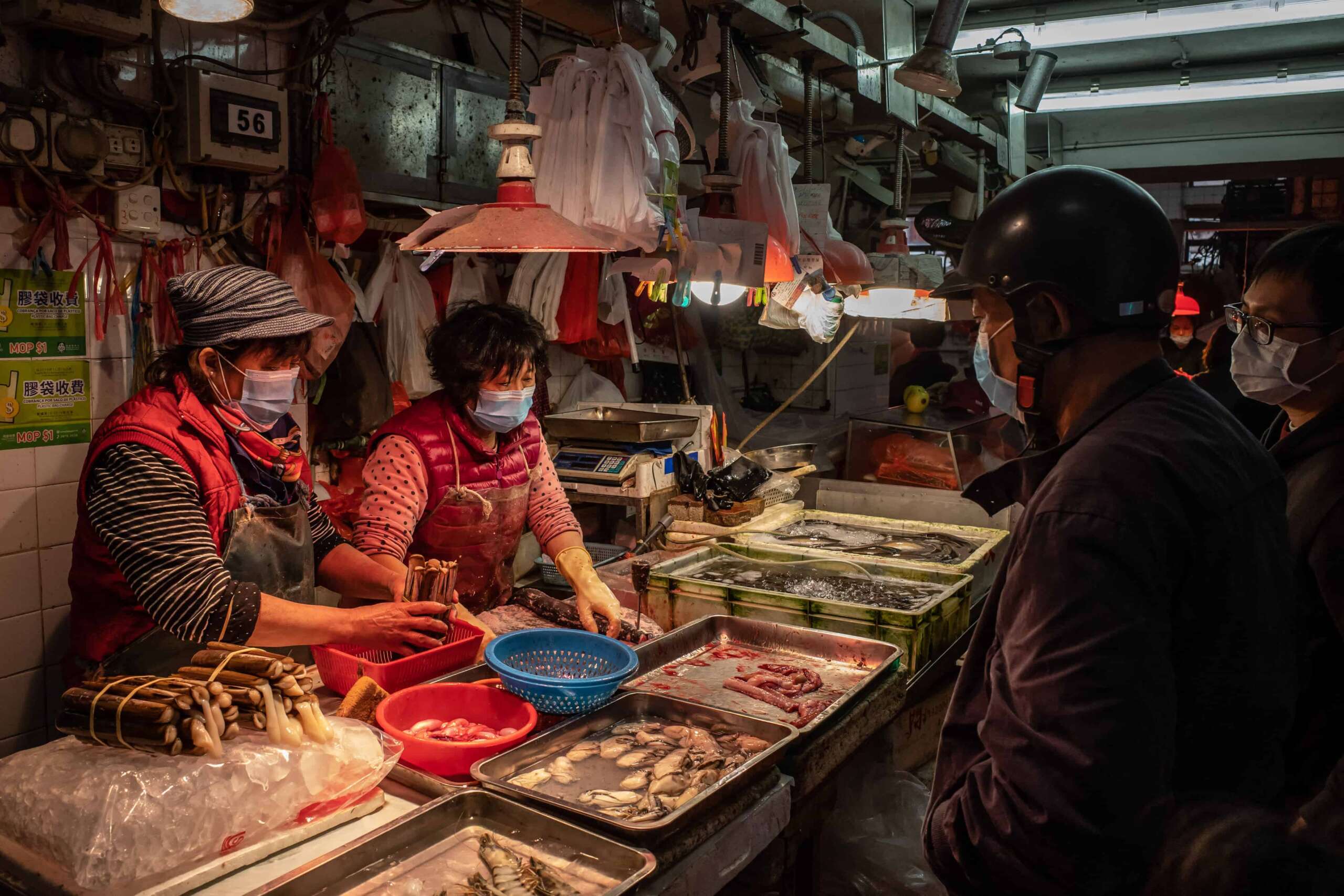 China dice que prohibirá el comercio de animales salvajes, como los murciélagos, que se cree que están detrás del coronavirus de Wuhan, y reforzará la supervisión de los "mercados húmedos"