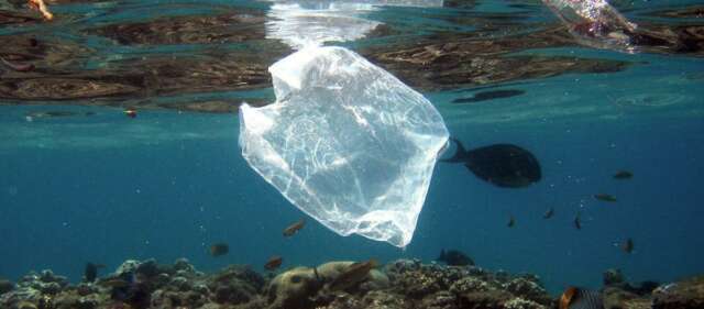 Chile también prohíbe las bolsas de plástico