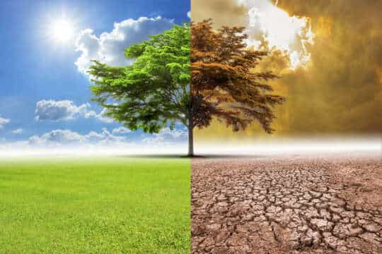 En el 2018 la humanidad gastó los recursos de la tierra en menos tiempo, superando así su record de destrucción ambiental.