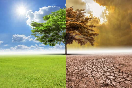 En el 2018 la humanidad gastó los recursos de la tierra en menos tiempo, superando así su record de destrucción ambiental.