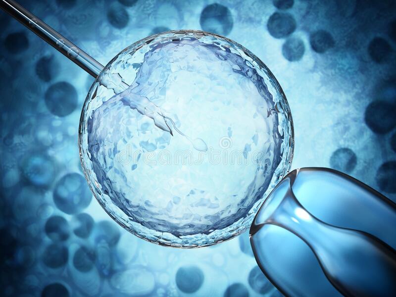 Nacen ratones con dos papás biológicos: crear óvulos a partir de células masculinas será posible en humanos