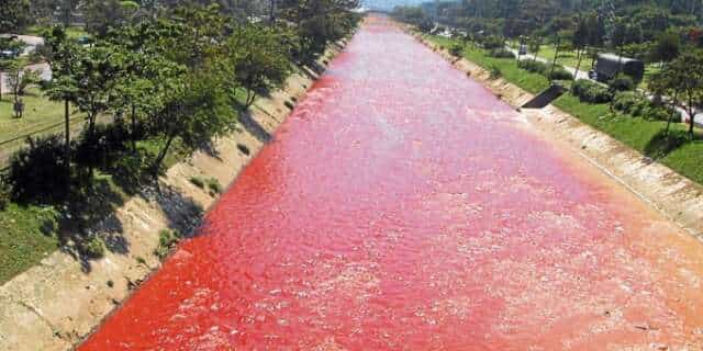 Fabricato y otras 3 empresas las culpables de la coloración del Río Medellín