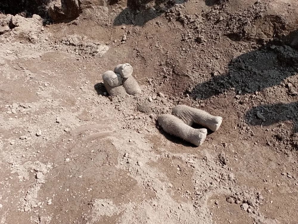 Los elefantes asiáticos entierran a sus muertos, sugiere una nueva investigación