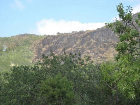 EL peor incendio en la historia de Ibiza ha sido controlado.