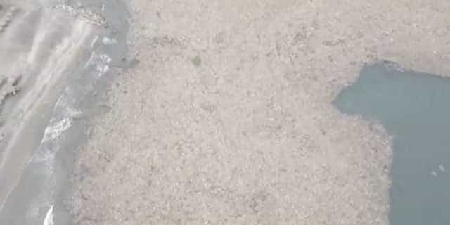 Alerta por la creciente isla de basura al frente de las playas del Caribe.