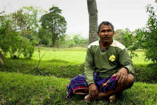 Forest man, el hombre que plantó un bosque más grande que Central Park