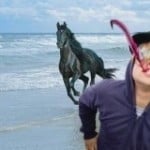 Martinez news!!!!! sus últimos movimientos en 2010