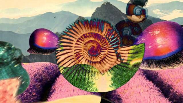 Rhyw, la mitad de dúo alemán Cassegrain debuta en solitario con ARCS-06 ¡Escuchalo aquí!