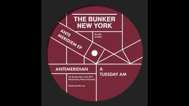 Escucha este funky profundo de la estadounidense Antenes bajo su aka Antemeridian