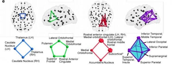 Tú cerebro en Realidad es un Avanzado aparato Hológráfico