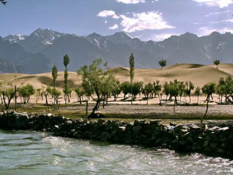 En Pakistán siembran más de 1.000 millones de árboles para mejorar su habitad