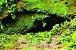 Amenaza petrolera sobre el bosque más biodiverso del planeta