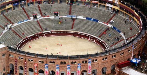 No más corridas de Toros en Bogotá. En defensa el derecho de los animales! Y Medellín qué está esperando ?