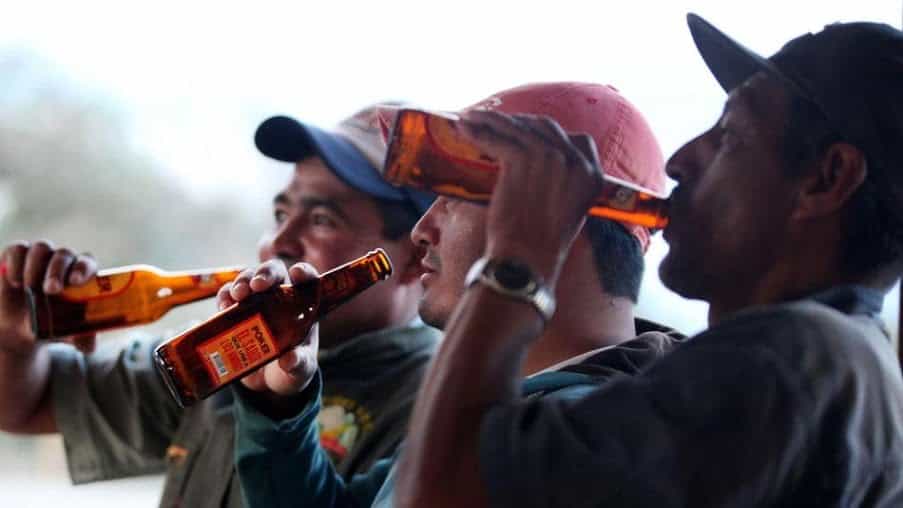 Confirmado, hasta una pola al día basta para reducir el volumen cerebral