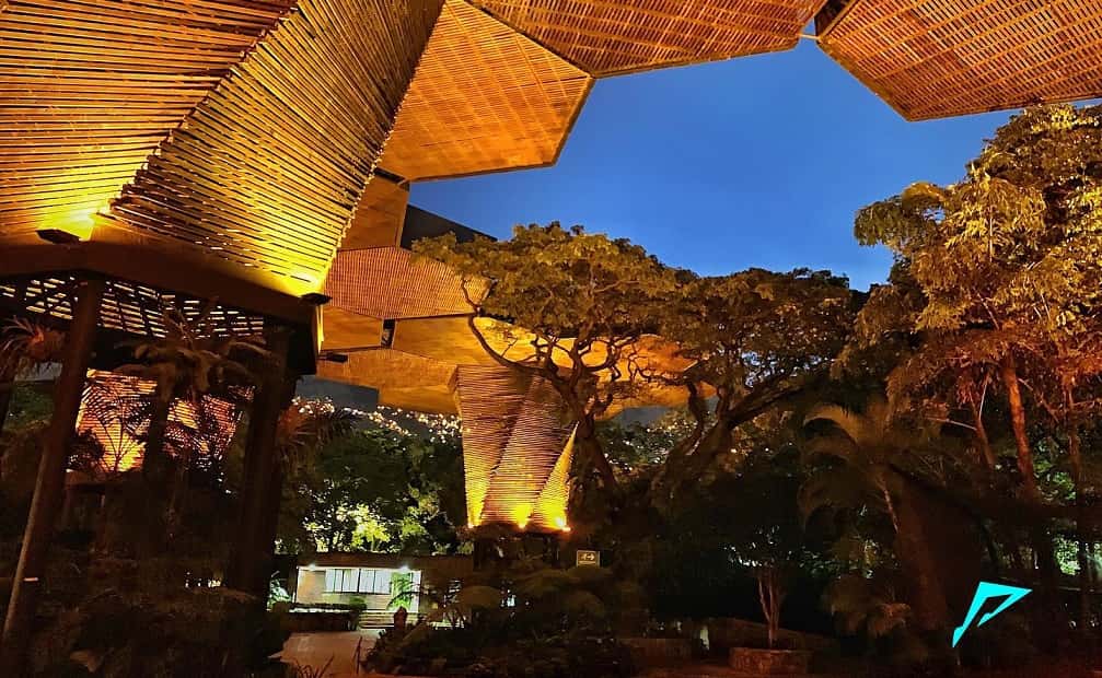 ¿No puedes con la ansiedance preFREEDOM? escucha alguna de estas refrescantes sesiones