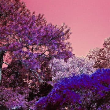 Tom Trago estrena su nuevo sello TT