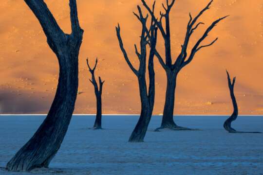 20 de los Paisajes más Surreales del Planeta, Caño Cristales es uno de Ellos