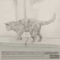 Nuevo Release de la Serie N (Series Media)