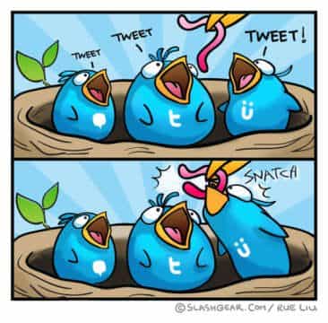 Cómo participar de la Sesión Twitter LIVE con HEARTTHROB? / How to participate?