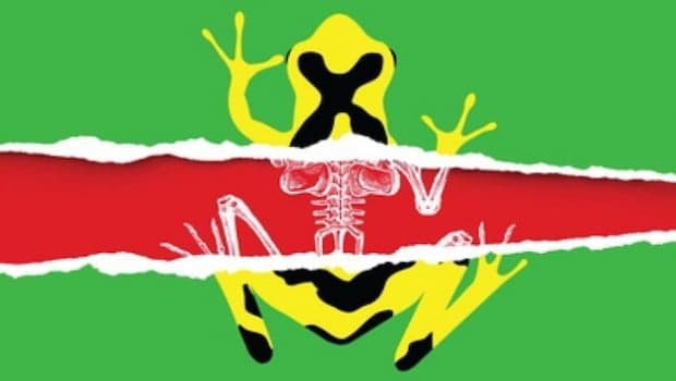 Conciencia: La Sexta Extinción! SOLO EL 10% DE ESPECIES SOBREVIVIRÁN EN TAN SOLO 50 AÑOS