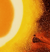 Momentum By M.A.M.I & Venuz White