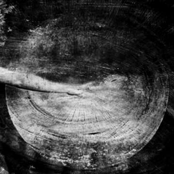 El debut en largo del dúo SHXCXCHCXSH será firmado por Avian