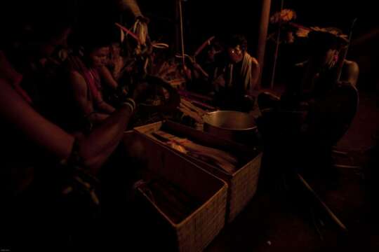 El joven británico Henry Miller, murió en Colombia luego de ritual con ayahuasca o yagé.