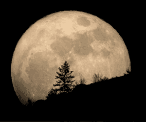 Una ‘Superluna’ iluminará la noche de hoy sábado