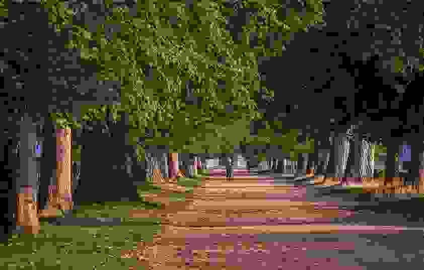 Investigación asegura que vivir cerca de espacios verdes aumenta probabilidad para dejar fumar