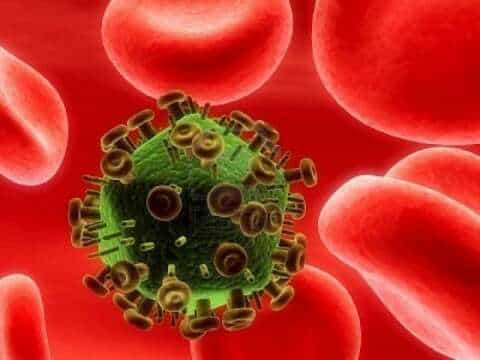 ¿Cuánto tardaría un supervirus en propagarse por todo el mundo?