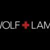 Mp3 :Wolf & Lamb, Ben Watt – Buzzin Fly – 24.03.2011