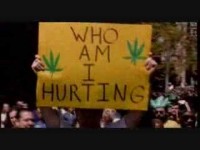 Un nuevo estudio dice que los dispensarios de cannabis no aumentan la tasa de delincuencia en la zona