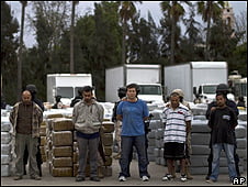México: cogen 105 toneladas de marihuana en Tijuana, donde irán a hacer la quema de las 105 ?