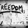 El #FREEDOM no solo es fiesta !!!