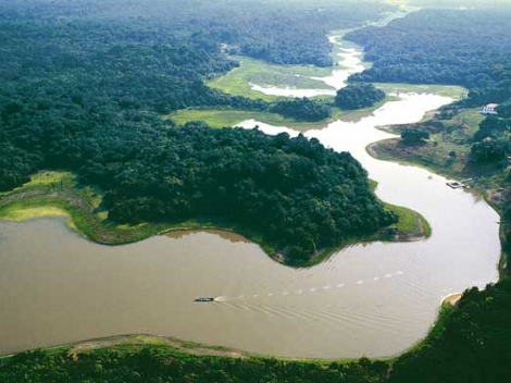 Deforestación en el Amazonas causará reducción de lluvias